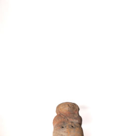 Imagem padrão