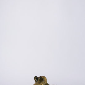 Imagem padrão