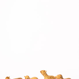 Imagem padrão