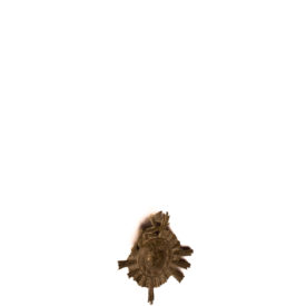Imagem padrão