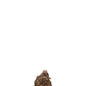 Imagem padrão