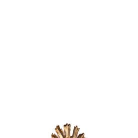 Imagem padrão